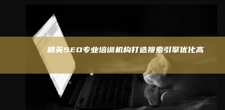 精英SEO专业培训机构：打造搜索引擎优化高手的殿堂